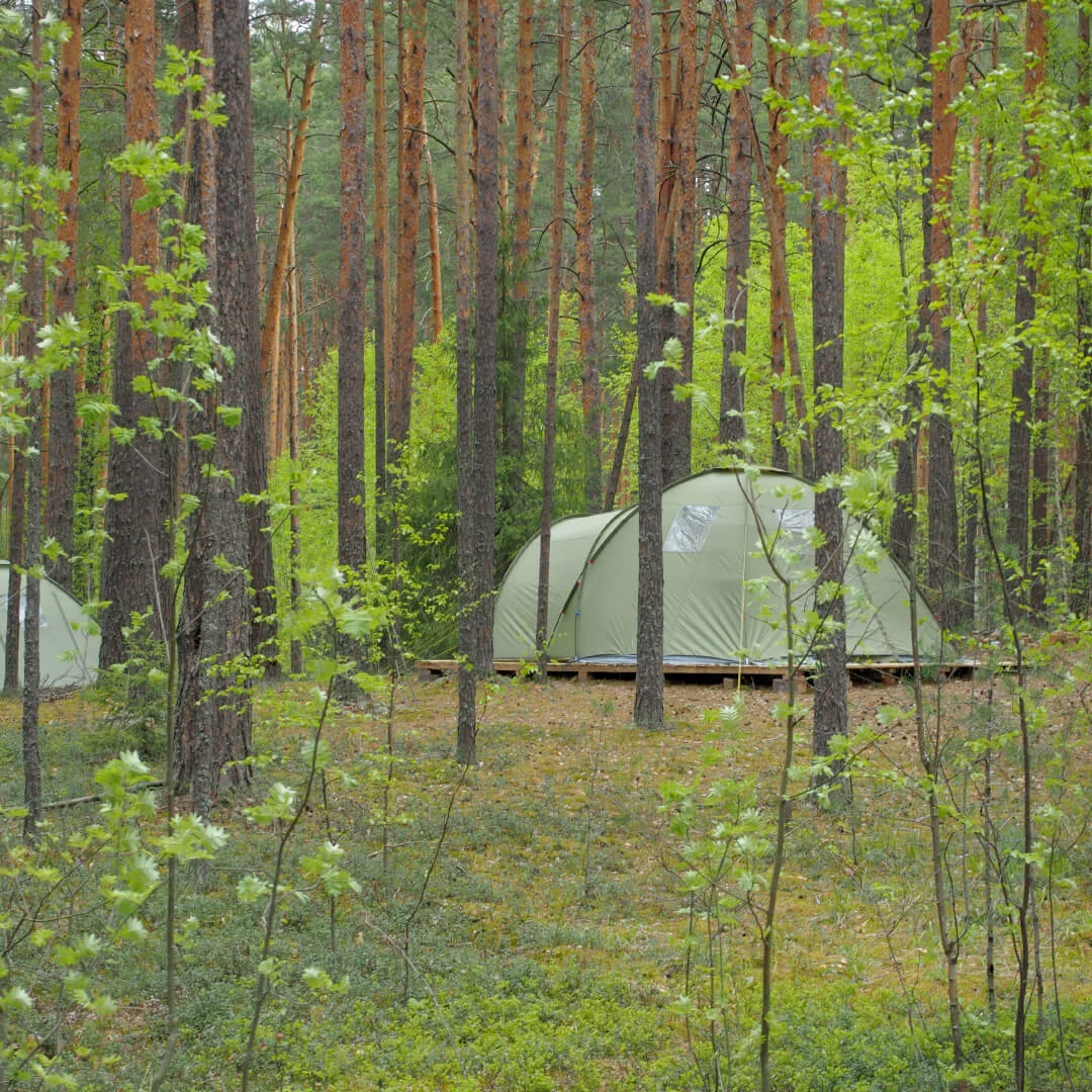 Аренда гриль домика на базе отдыха «Дивная усадьба»