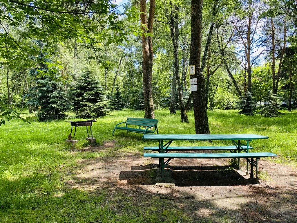 Мангальная зона / барбекю на территории лечебно-оздоровительного курорта в СВАО