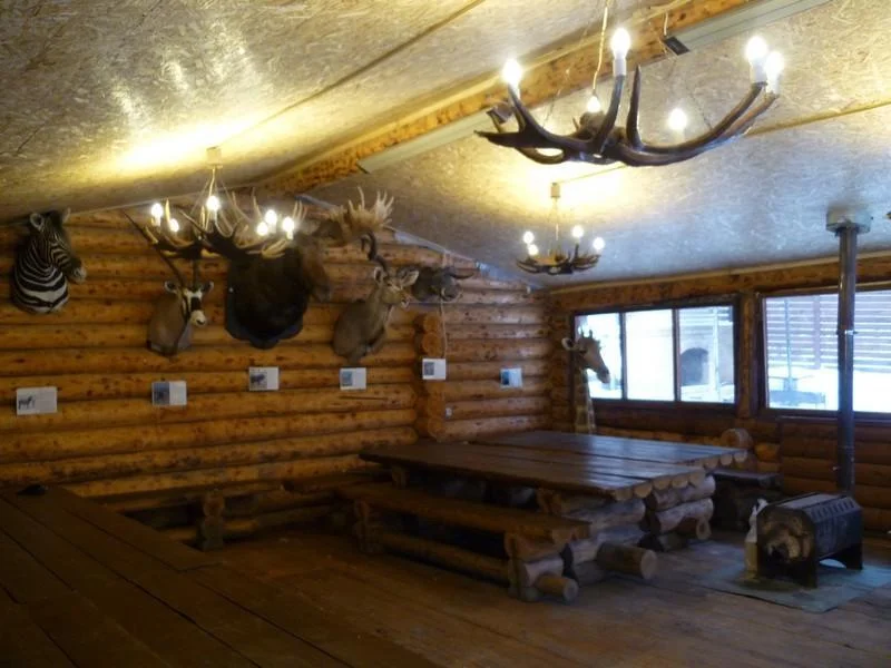 Большая беседка «Домик Охотника» до 40 человек в Парке Победы