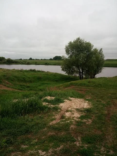 Аренда беседки с барбекю на берегу реки Старица