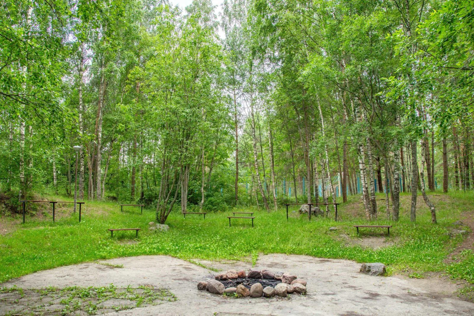 Малая беседка на 10 человек на территории «Лосево Парк»