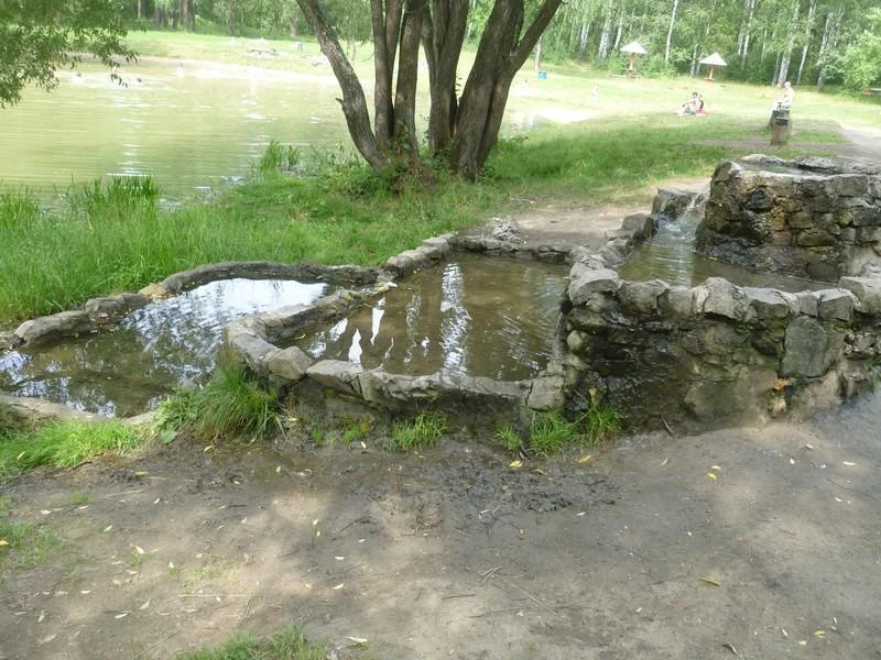 Летние беседки в лесу с мангалами в Парке Победы