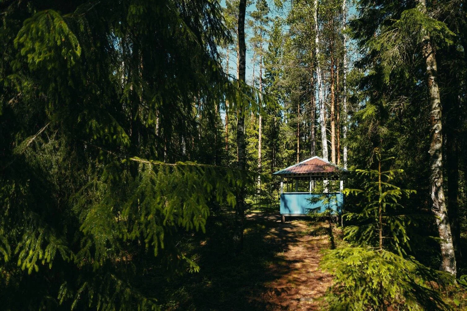 Беседки на Пасторском озере от 8 до 18 человек