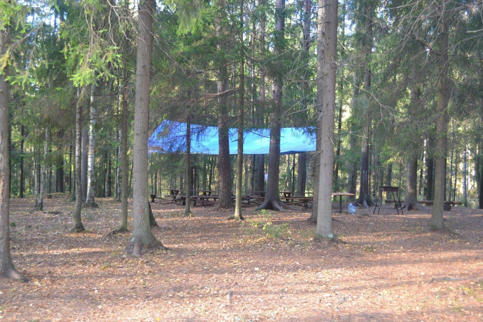 Место для пикника на территории парка Зубровник (до 30 человек)