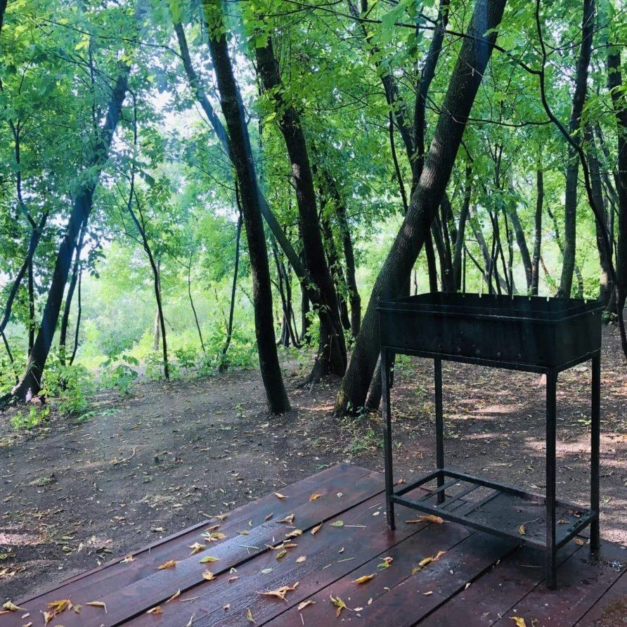 Снять большой Эллинг на 20 человек в парке «Печерские пески»