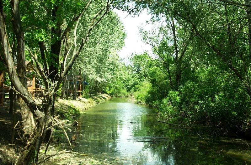 Flyingfish club. Аренда беседок возле озера до 20 человек от 100 руб.