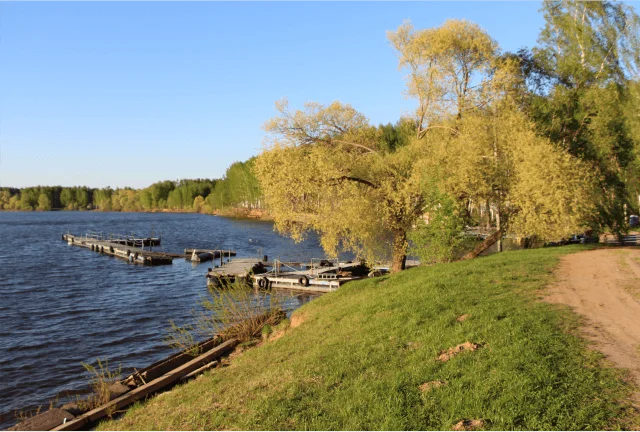 Аренда беседки на берегу Можайского водохранилища