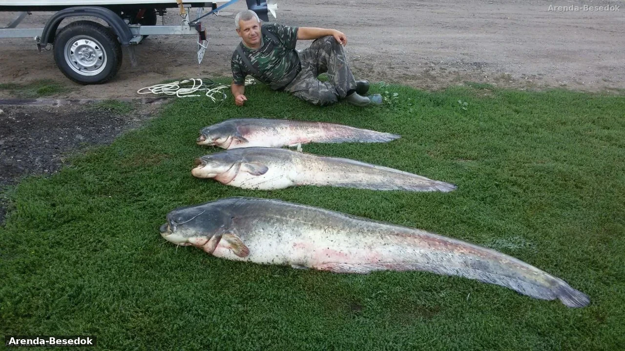Загородный клуб Атабаево