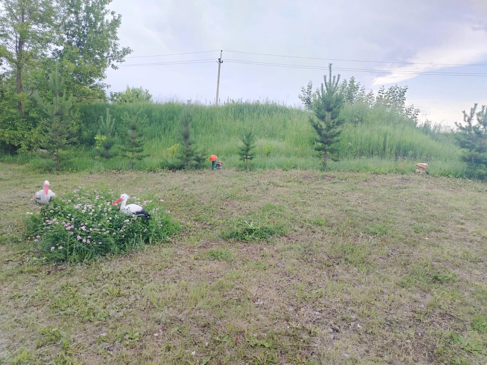 Аренда беседки для праздников и выходных