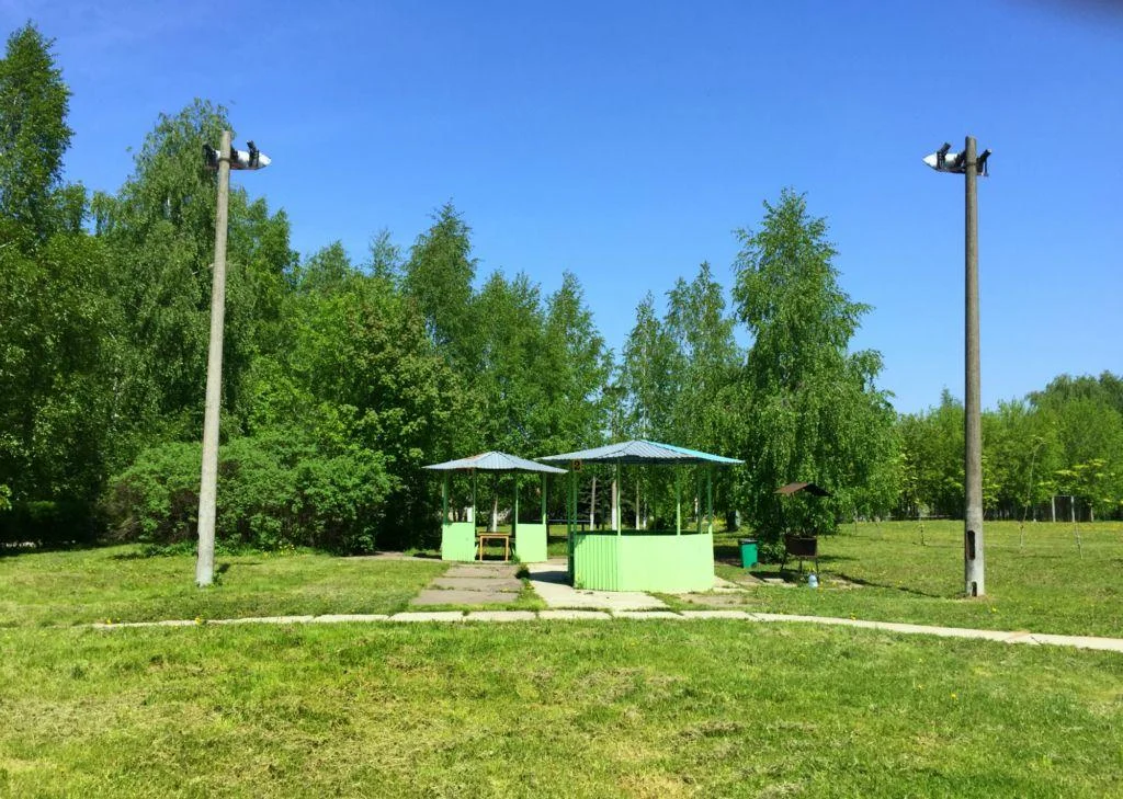 Большая беседка на 30 человек в Парк Отель Куркино