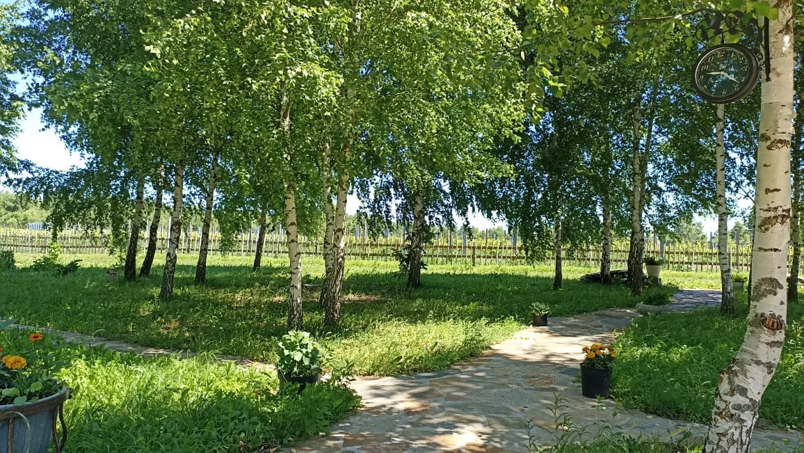 Аренда площадки с беседкой до 50 гостей на винограднике KULAKOVO