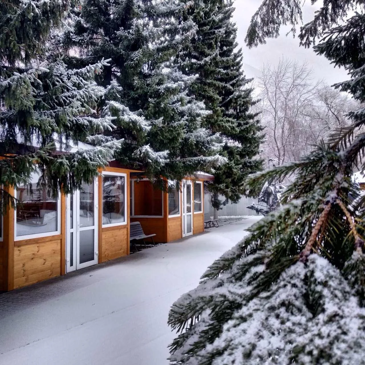 Аренда беседок от 10 до 70 человек » в парк-шале Бенилюкс