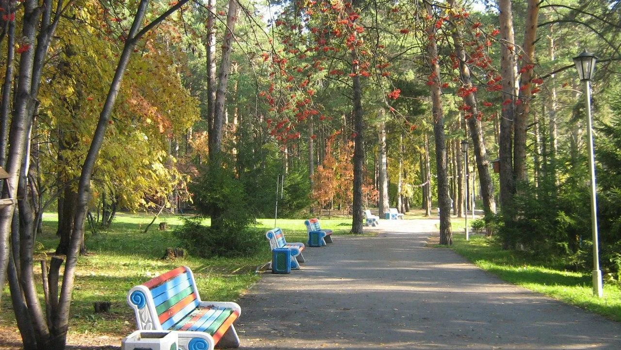 Теплая беседка на лыжной базе в Сосновом Бору (20 человек)