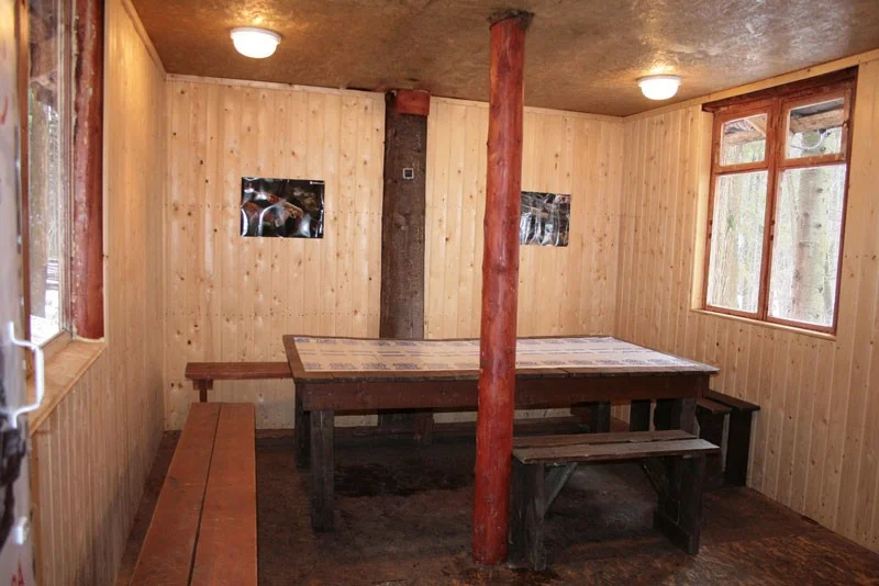 Аренда беседок на базе отдыха «Пермские медведи»