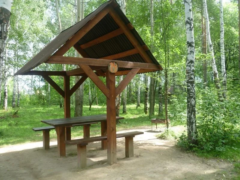 Пикниковые места с мангалами до 10 человек в Парке Победы