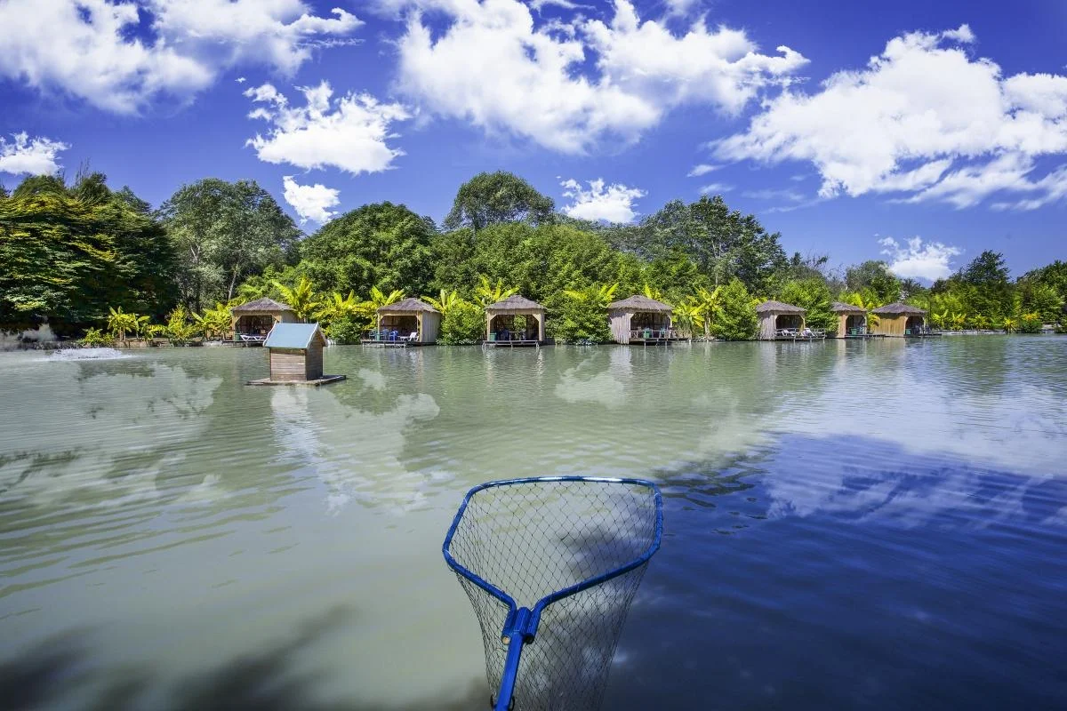 Пикник в беседках на територии Ачигварского озера рассчитаны до 15 человек
