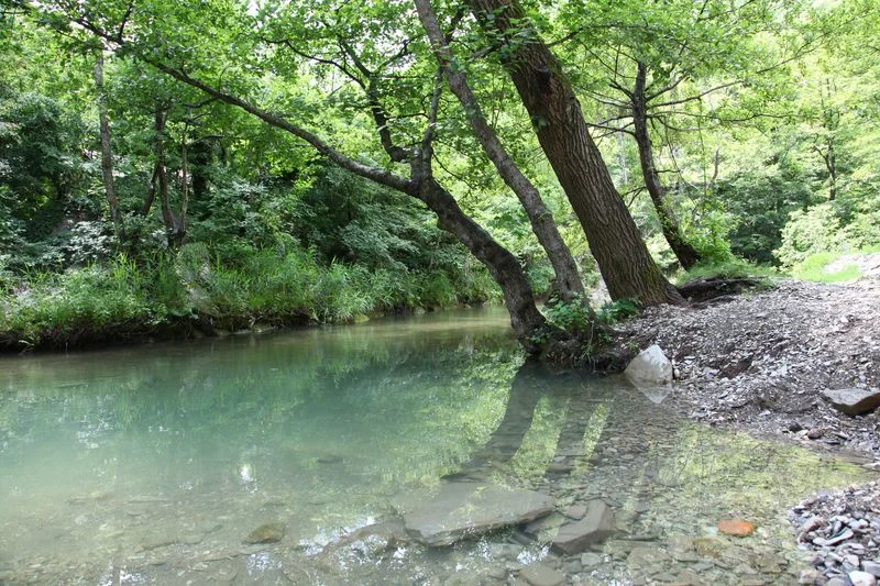 Аренда деревянной беседки для шашлыка — Лесная Заимка / Геленджик