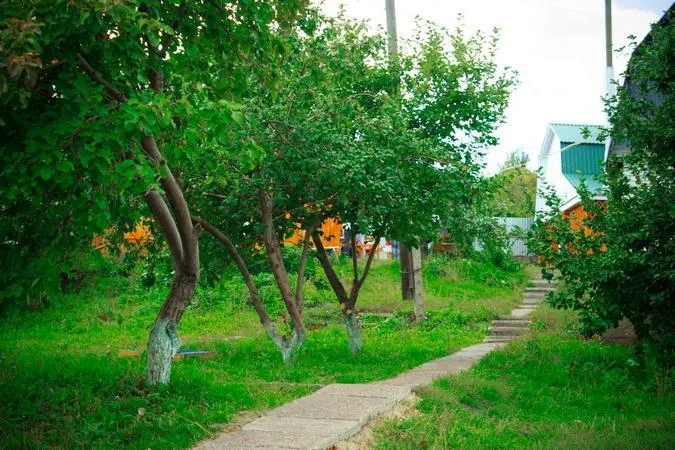 Беседки для жарки шашлыка и отдыха в теплое время года