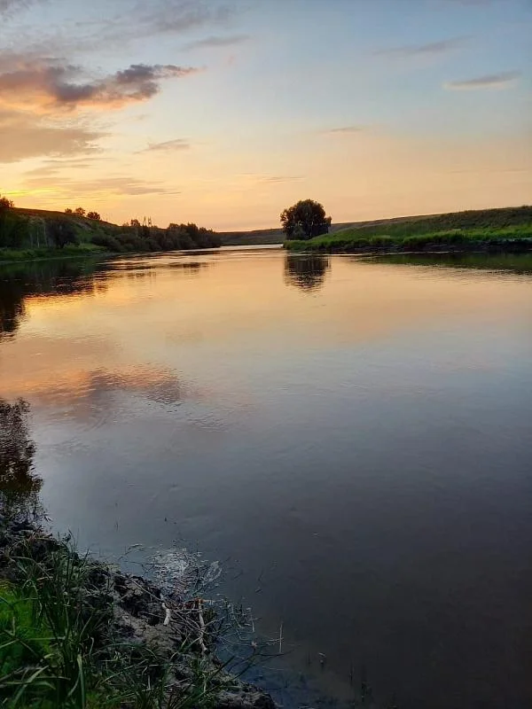 Веранда на берегу реки и мангальная зона в аренду на базе отдыха «Подсолнухи»