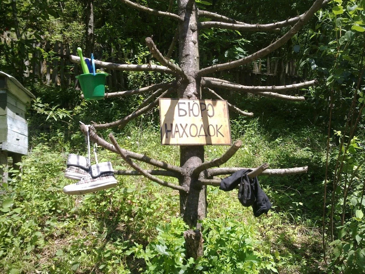 Беседки на базе отдыха «Дм Дм Бон» в аренду