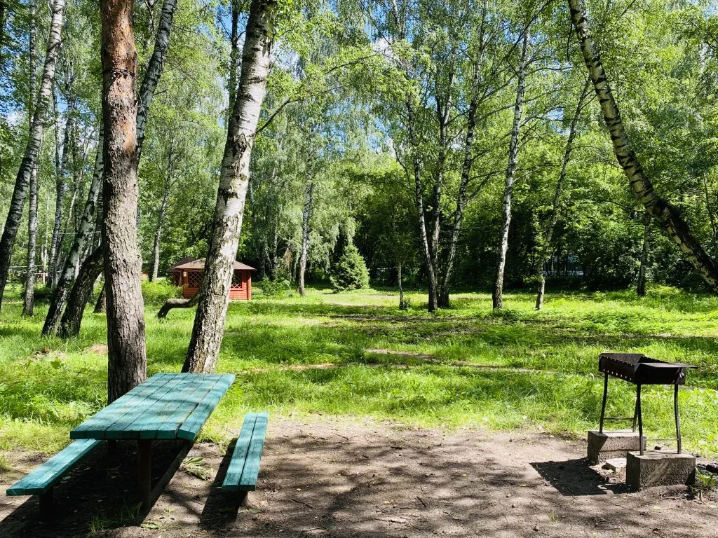 Мангальная зона / барбекю на территории лечебно-оздоровительного курорта в СВАО