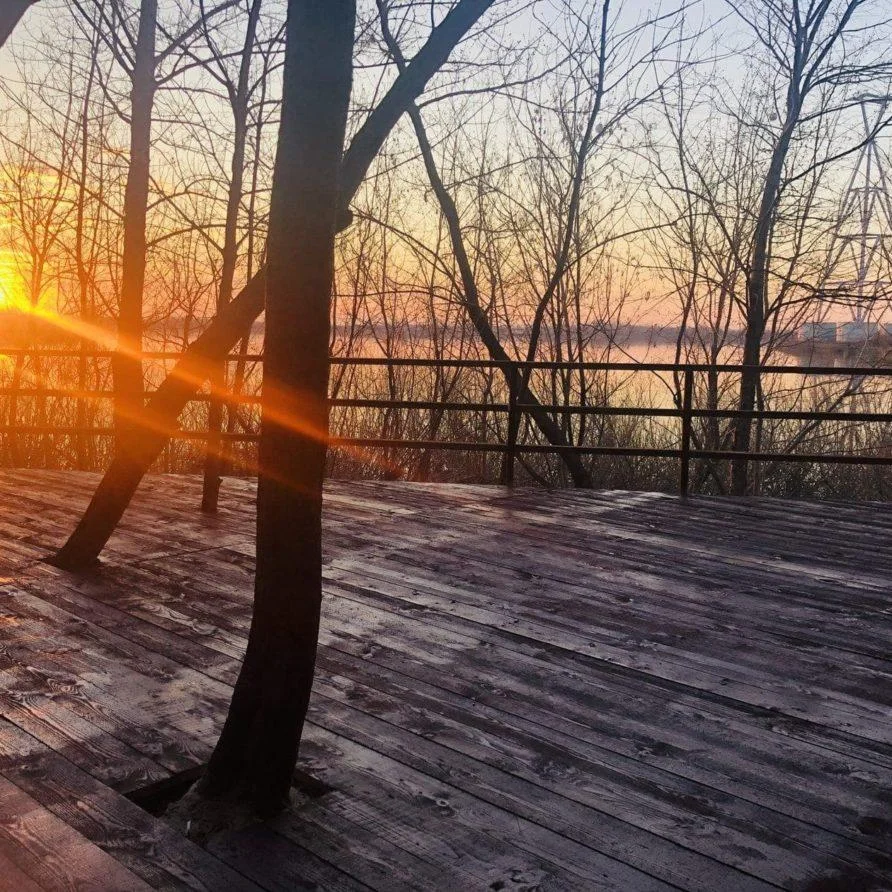 Отдых в беседке «Банкет» на 100 человек в парке «Печерские пески»