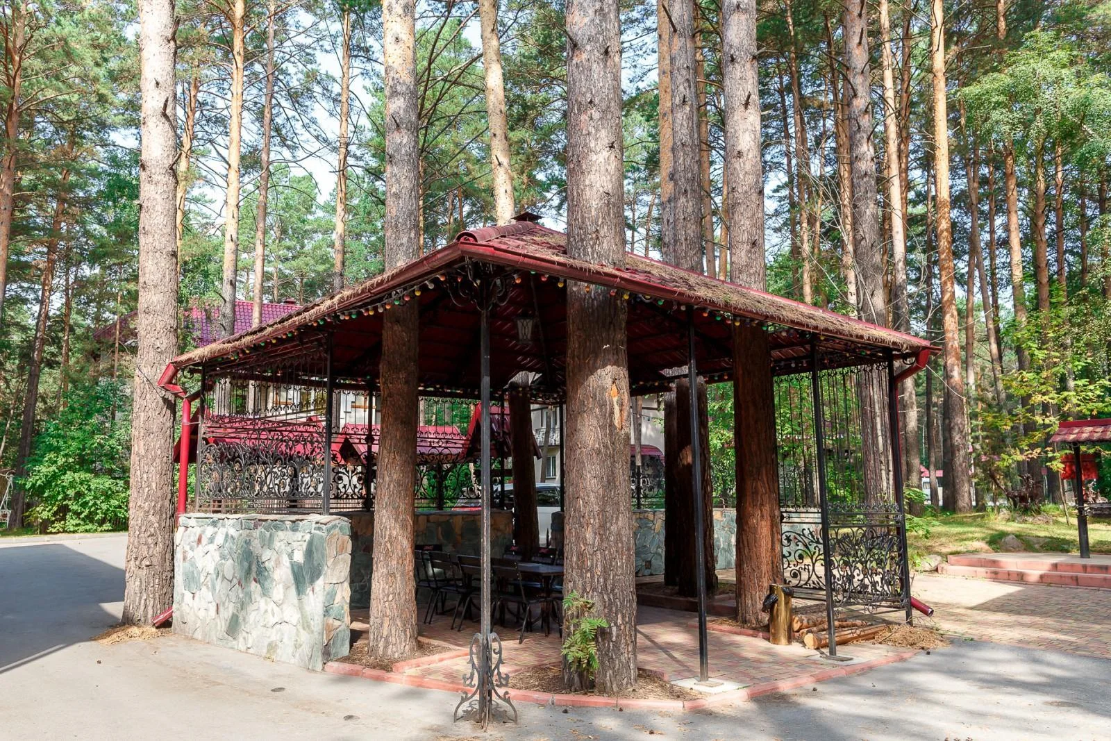 Аренда беседки с мангалом до 30 человек — Пансионат Былина (Бердск)