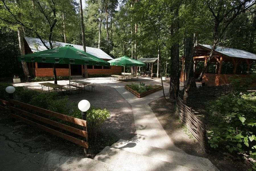 Места для отдыха и пикника на территории гостиницы «Лось»