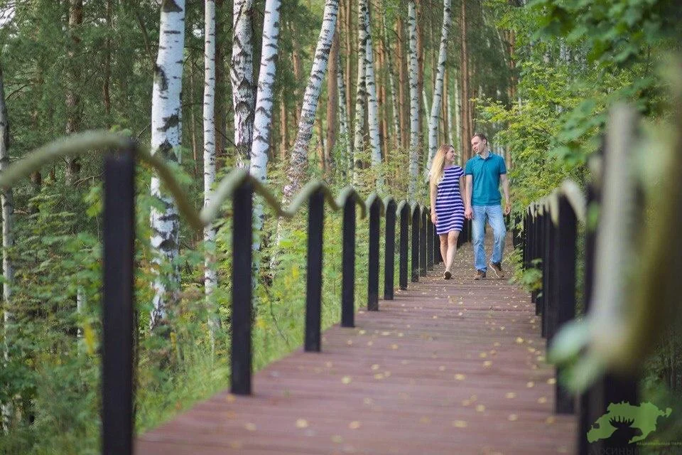 Деревянные беседки в аренду на 15 человек