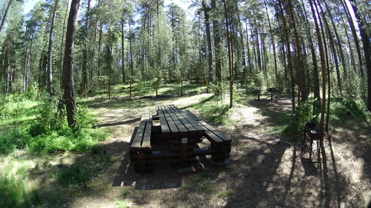 Мангальные зоны вблизи Финского залива на 15-30 человек