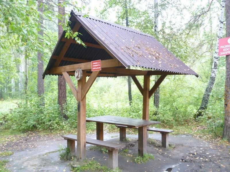 Пикниковые места с мангалами до 10 человек в Парке Победы