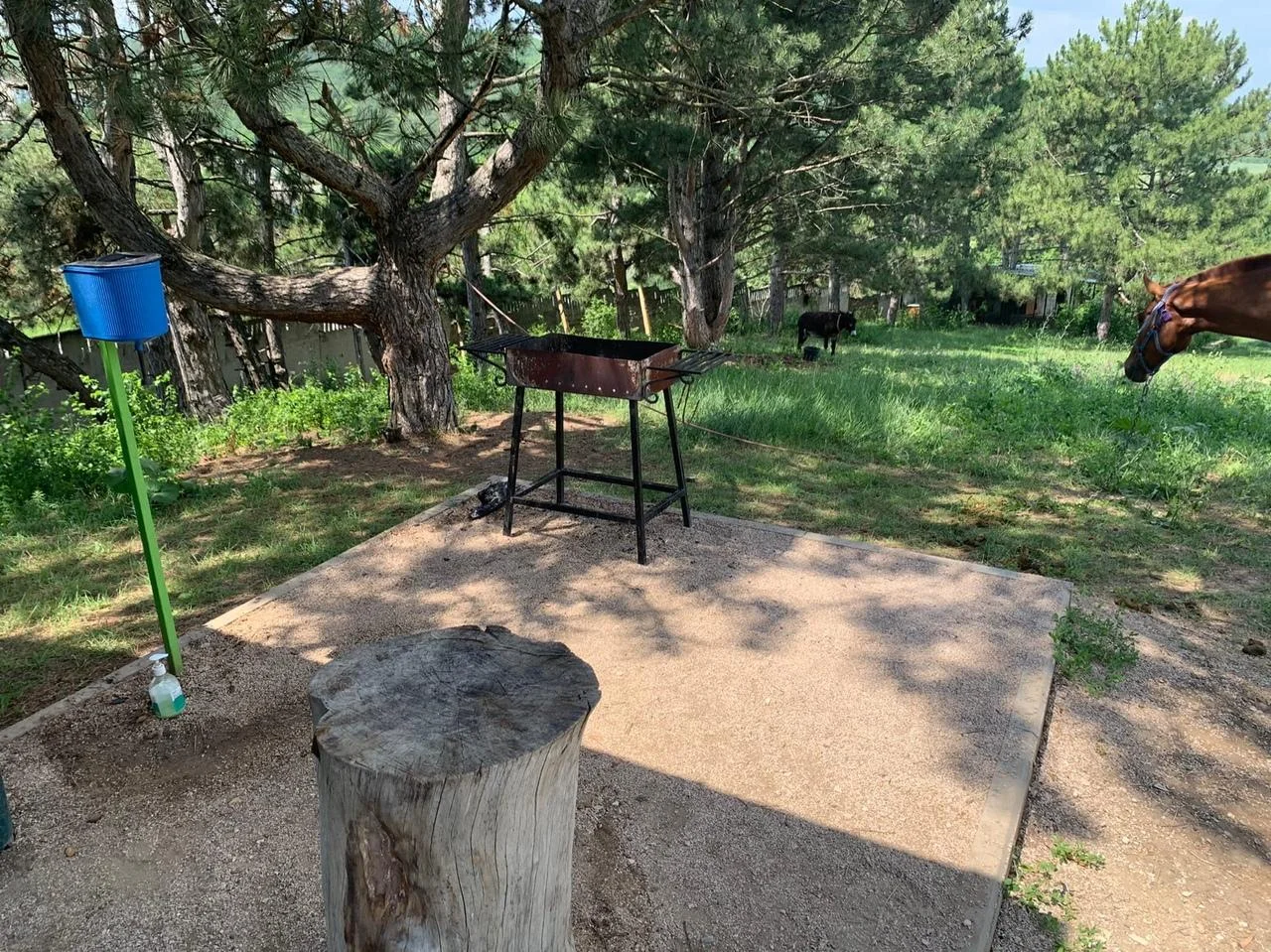 Беседки для пикника /от 25 до 30 человек в гостевом комплексе «Экорест»