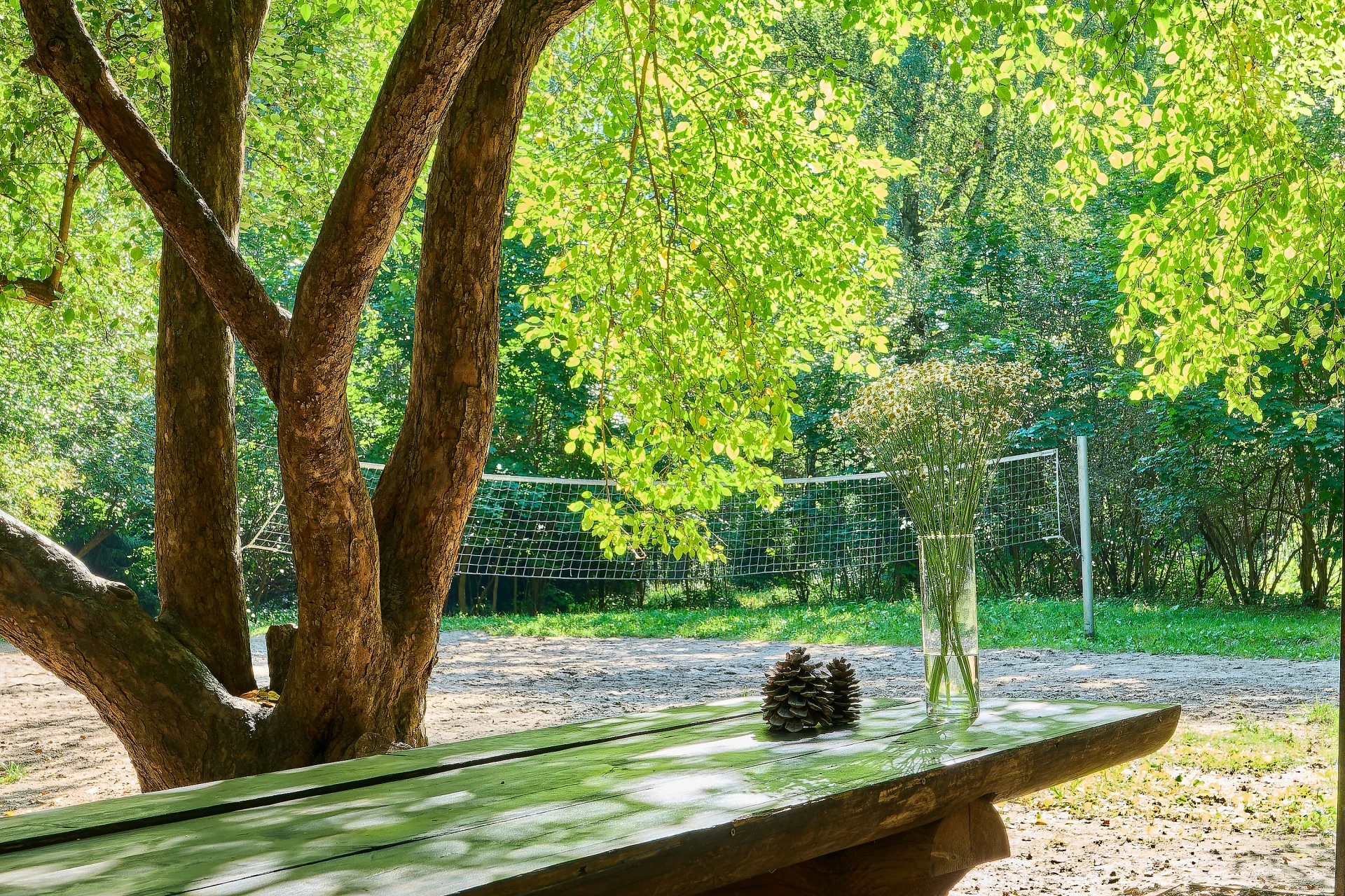 Теплая беседка с мангалом в Москве на 10 человек (Москва, Бирюлево)