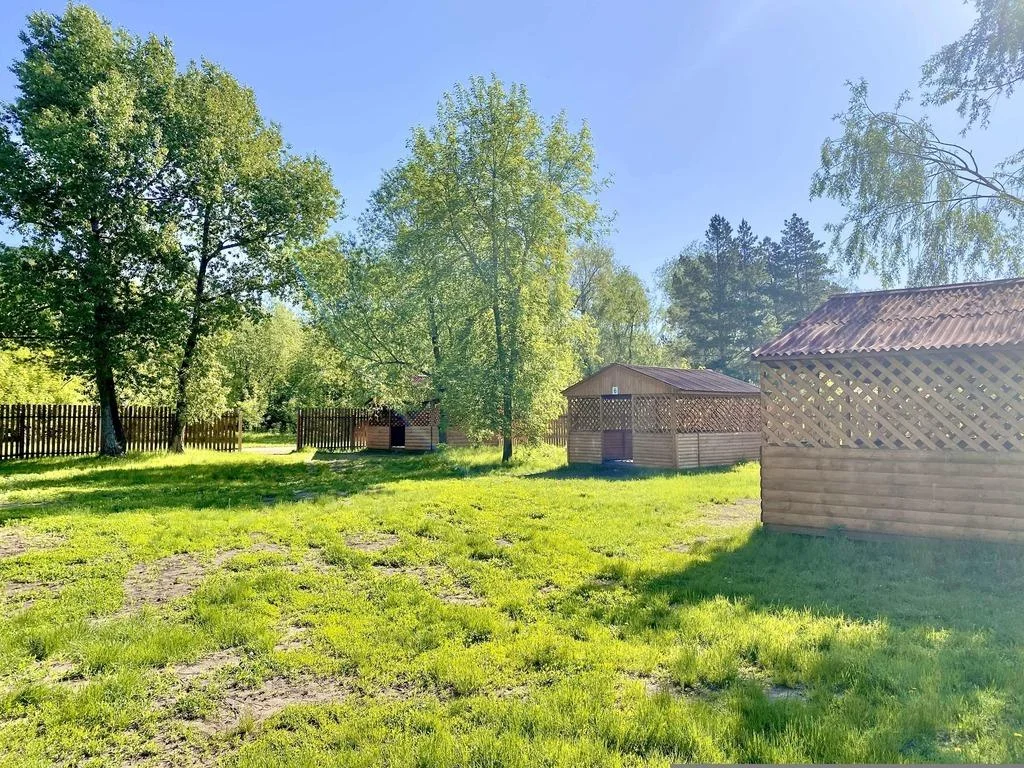 Место для шашлыков в парке «Зеленый Остров» от 500 руб/час