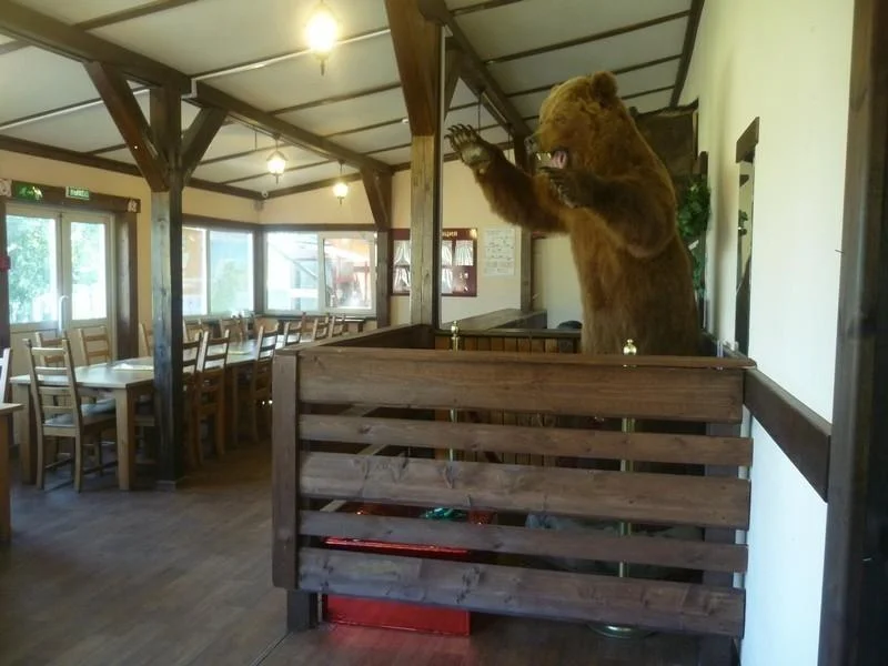 Банкетный зал на Шарташе до 25-30 человек — Каменный Пляж