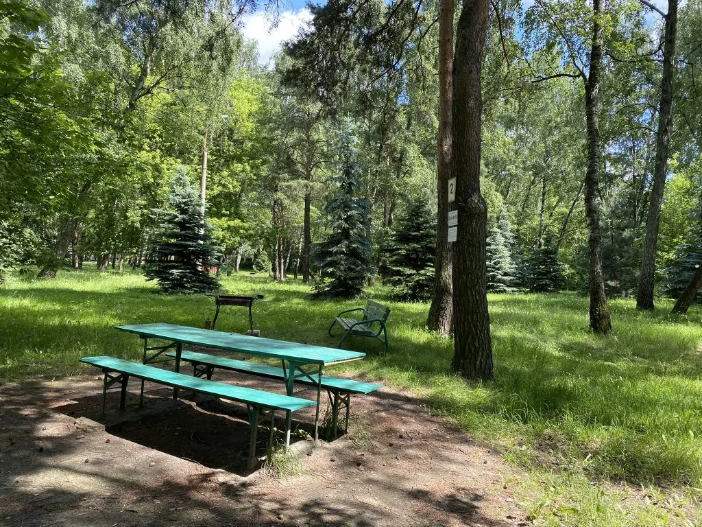 Мангальная зона / барбекю на территории лечебно-оздоровительного курорта в СВАО