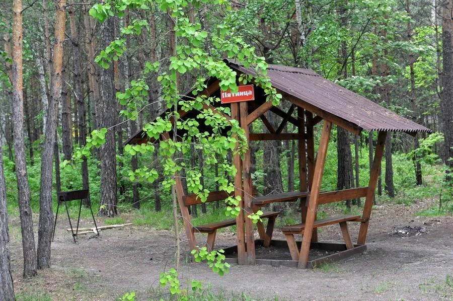 Небольшая беседка на 6 человек в лесной зоне г.Новосибирск