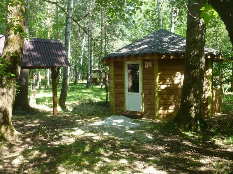 Уютные беседки вместимостью от 15 до 25 человек в Парке Победы