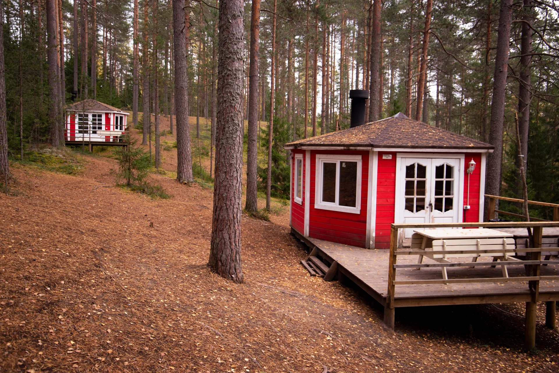 Отдых в гриль домике «Greenvald» на 20 человек