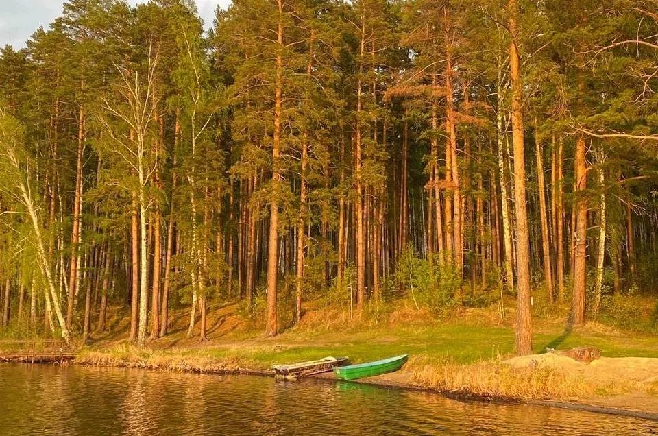 База отдыха Зелёный Лес — фото 2
