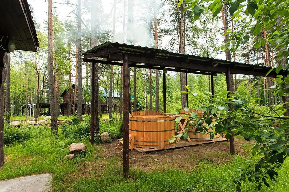 Площадка для проведения мероприятий до 500 человек (Красногвардейское озеро)