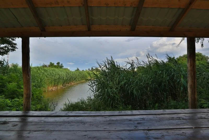 Аренда беседок на 12-25 человек в Екатерининской усадьбе