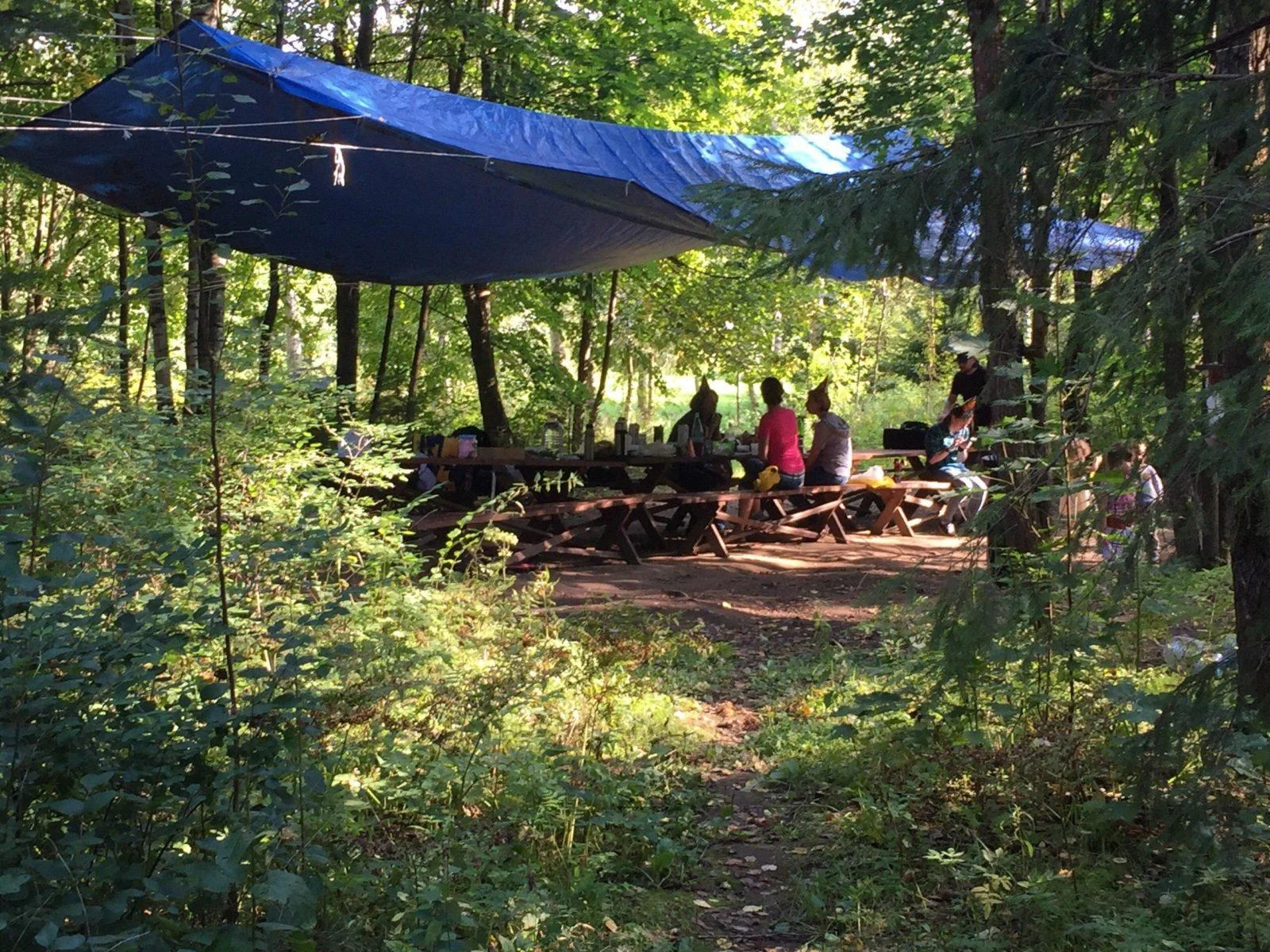 Место для пикника на территории парка Зубровник (до 30 человек)