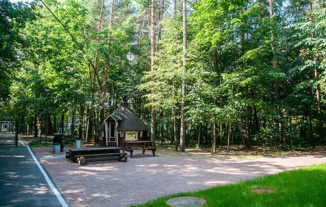 Кемпинговая зона на Путяевских прудах парка Сокольники