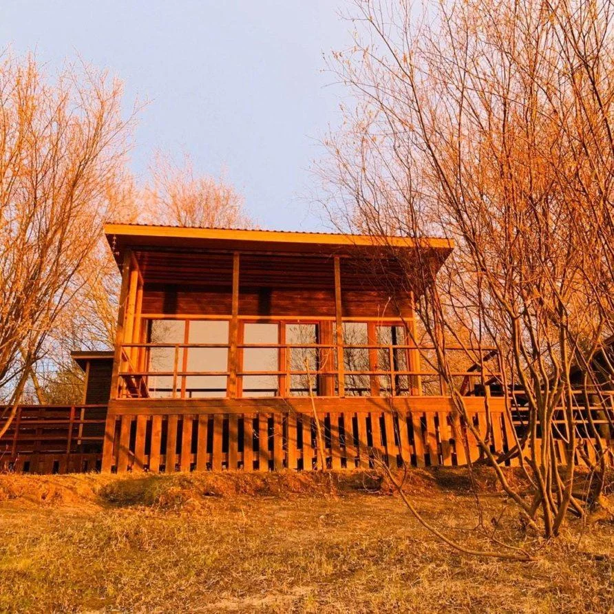 Снять всесезонную беседку «Палаццо» на 40 человек в парке «Печерские пески»