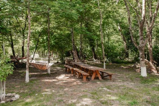 Снять беседки в эко-парке «Вотчина»