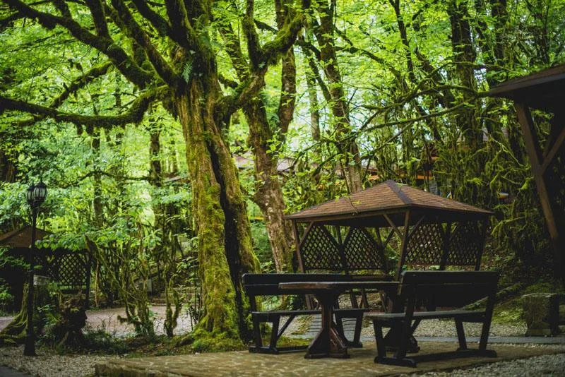 Отдых в малых беседках на территории «Навалишенское ущелье»