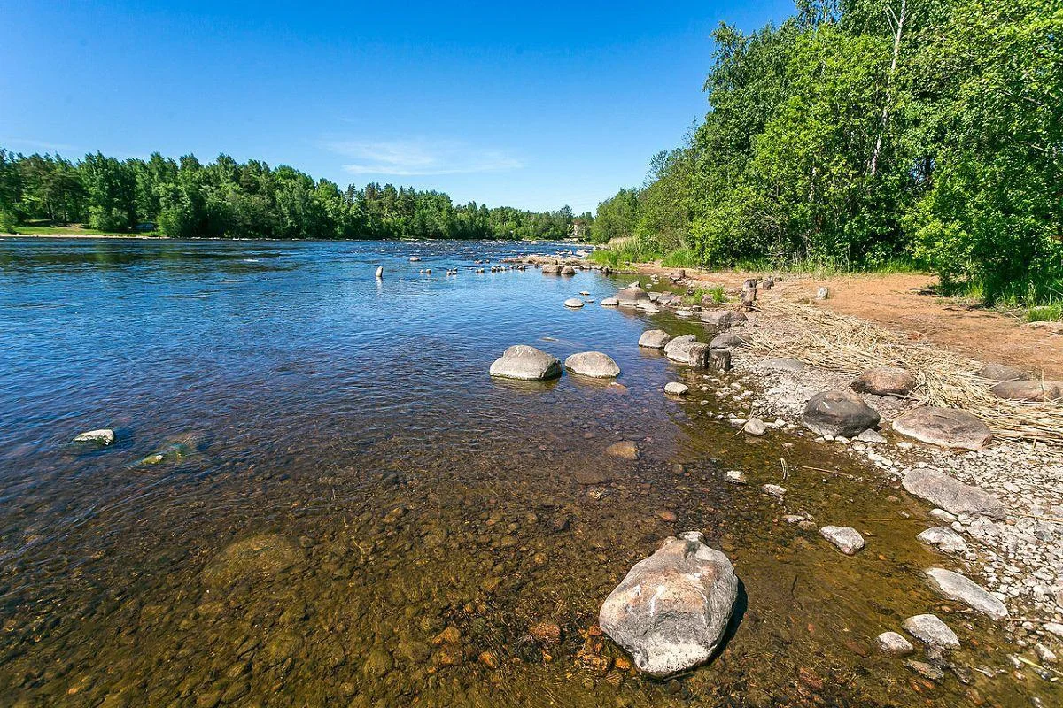 Аренда юрты для шашлыка в Лосево на базе отдыха