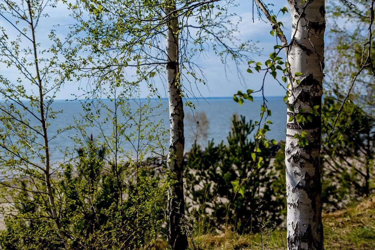 Купольная беседка, домик для шашлыка в Бердске — Парк отдыха «На Камнях»