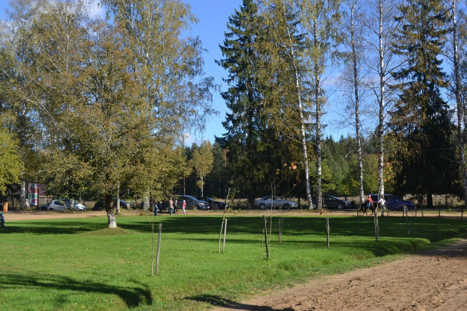 Большая беседка вместимостью до 50 человек